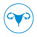 Abdominal Hysterectomy