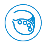 Polycystic Ovary Syndrome (PCOS)